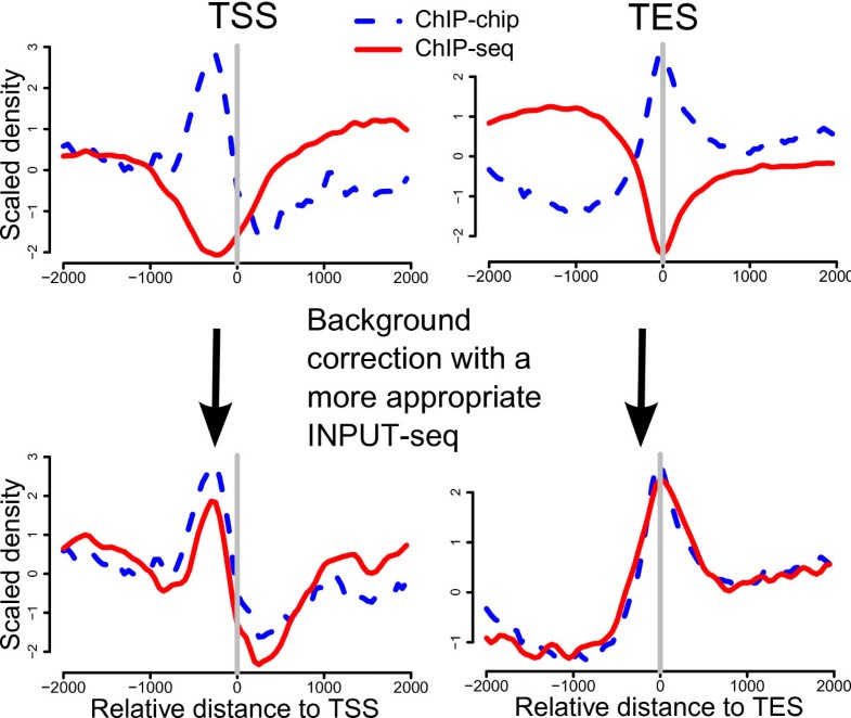 ChIPchip versus ChIPseq Lessons for experimental design and data