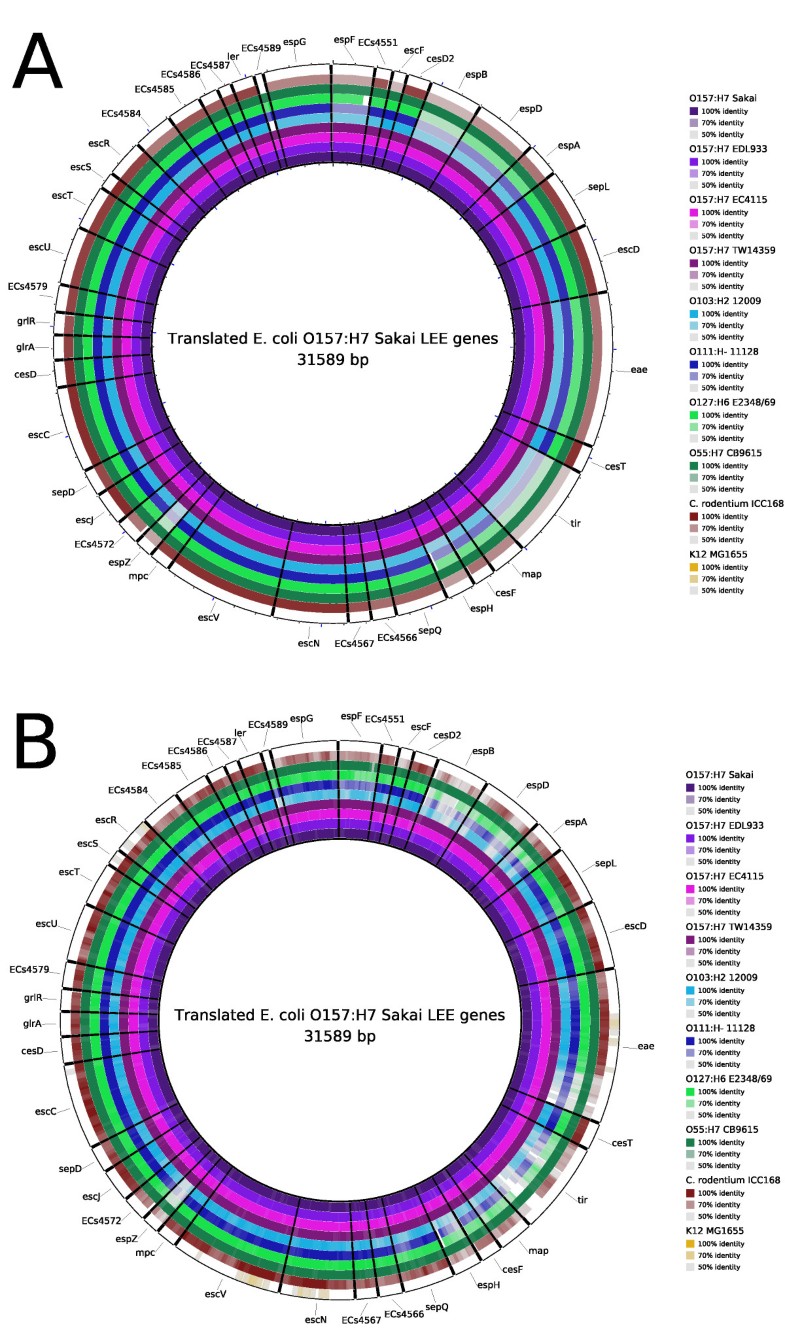 BLAST Ring Image Generator (BRIG) simple prokaryote genome comparisons