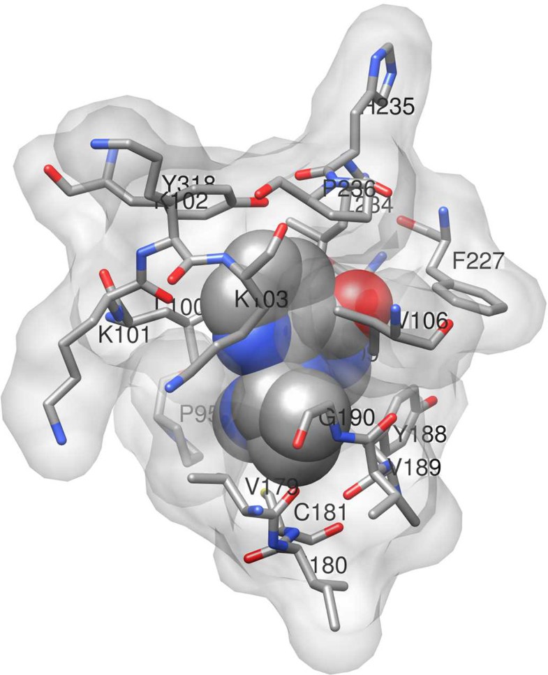 Nevirapine Drug Bank