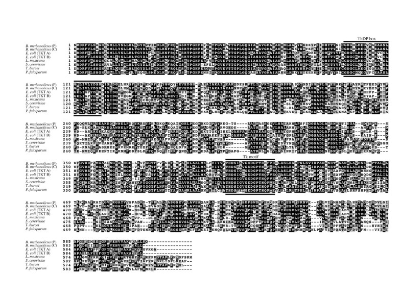 Characterization of two transketolases encoded on the ...