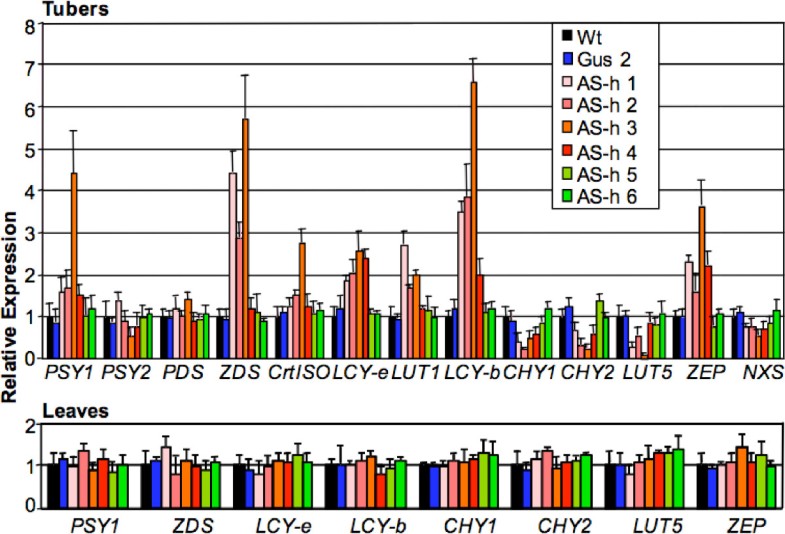Silencing of betacarotene hydroxylase increases total carotenoid and