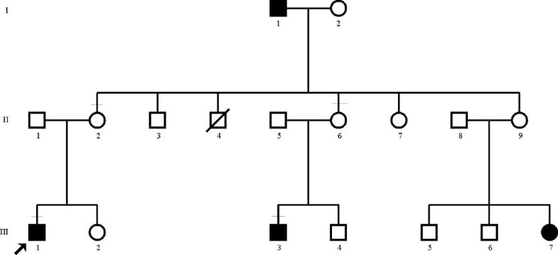 A case of familial isolated hemihyperplasia | BMC Medical Genetics ...