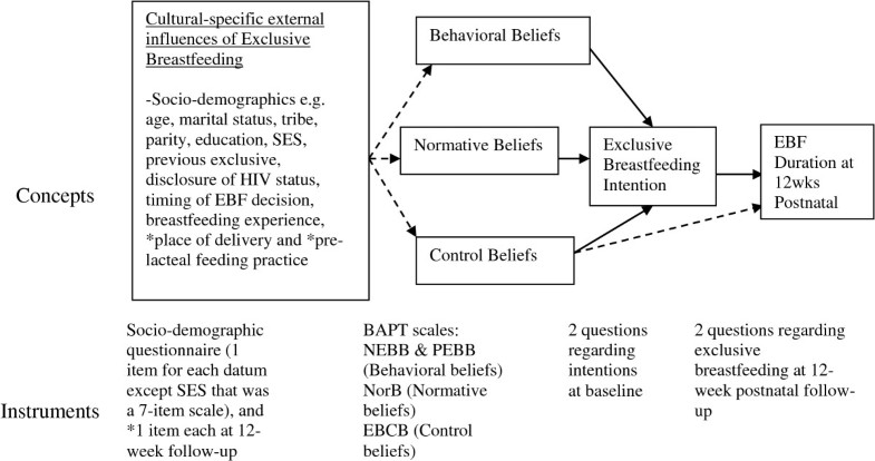 Exclusive breastfeeding prenatal intentions among HIV-positive mothers ...