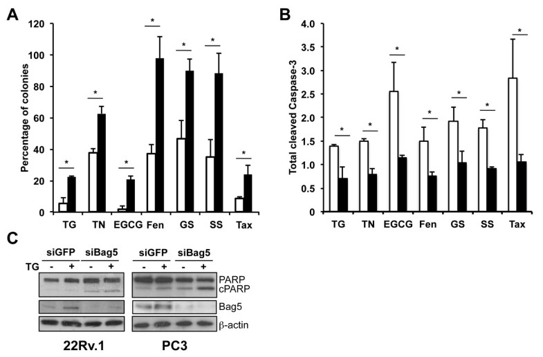 a and b. colony forming assay (a) and caspase-3 cleava