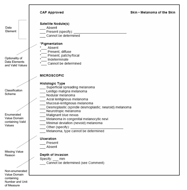 The cap cancer protocols a case study of cacore based data standards