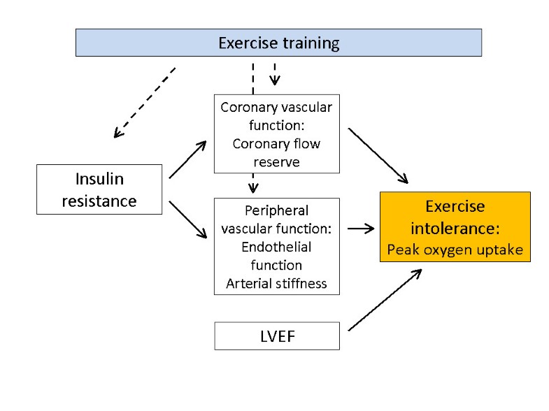 Insulin resistance and exercise tolerance in heart failure patients