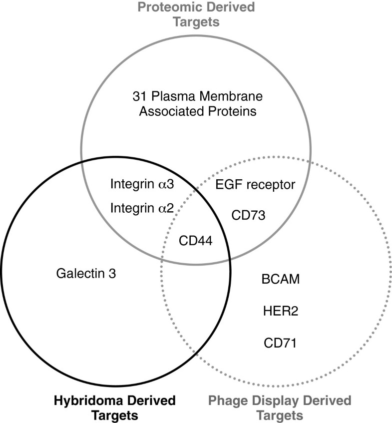 Combining phenotypic and proteomic approaches to identify