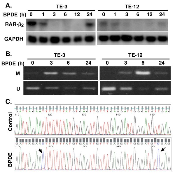 springerlink