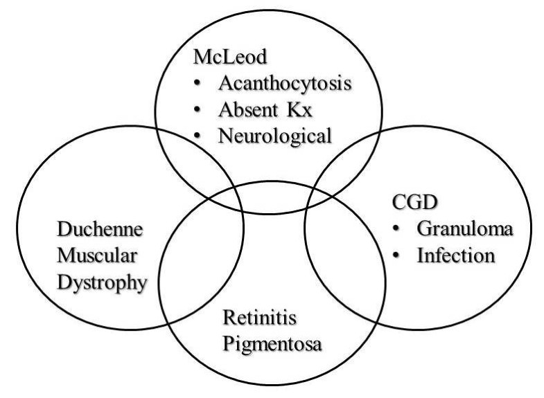 Chronic granulomatous disease, the McLeod phenotype and the contiguous