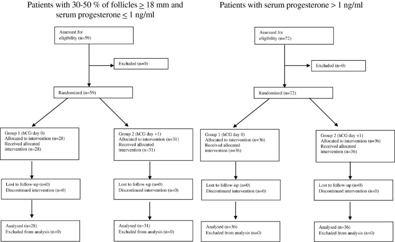 Delaying the oocyte maturation trigger by one day leads to