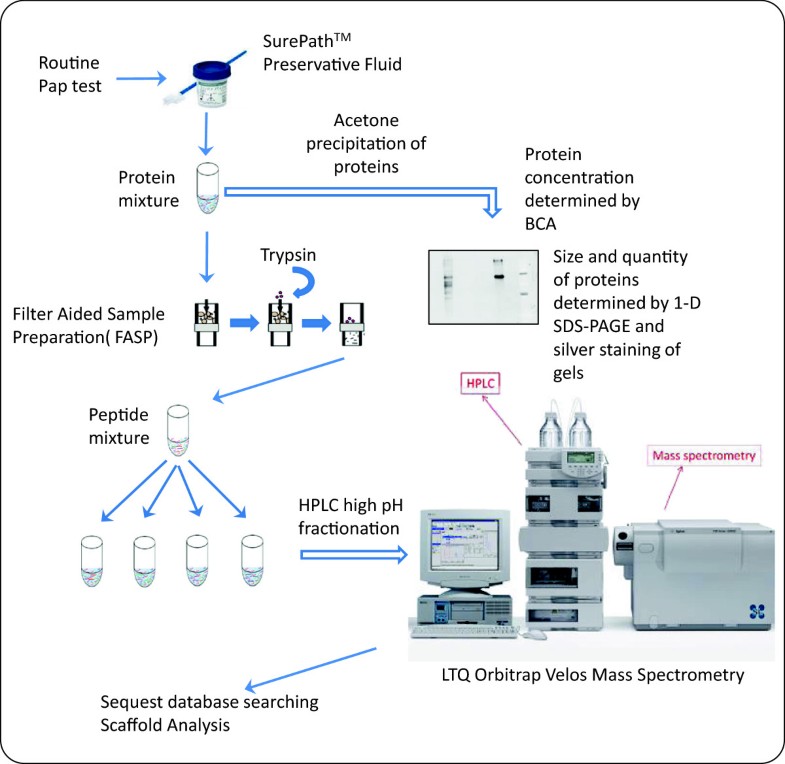 Histology And Cytology Medical Devices Pipeline Product Analysis A feasibility study to identify proteins in the residual Pap test fluid