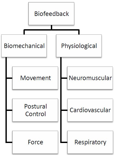 Biofeedback In Rehabilitation Springerlink