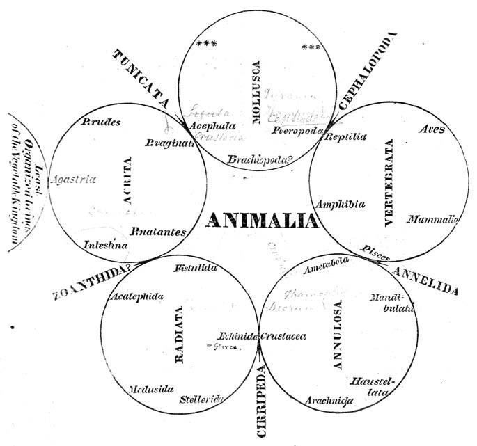 trees and networks before and after darwin biology direct full text lamarck vs darwin venn diagram