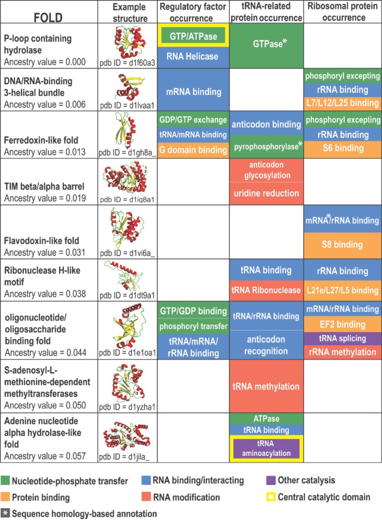 repertoire biology meaning