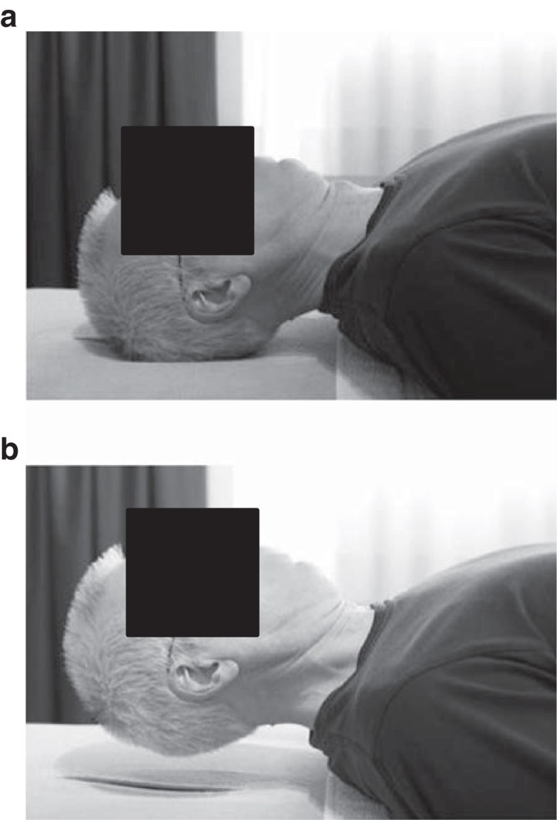 view variation and change pragmatic perspectives