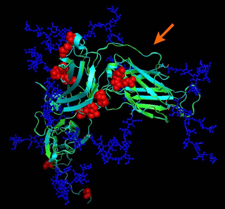 Figure 7