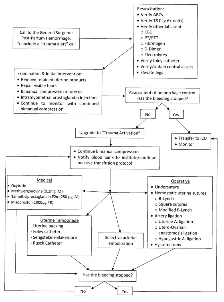 Pph Flow Chart