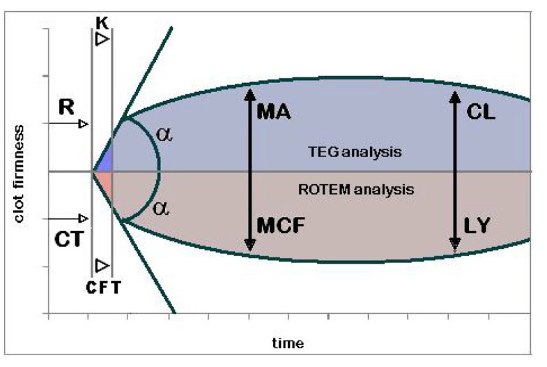 teg-and-rotem-in-trauma-similar-test-but-different-results-world