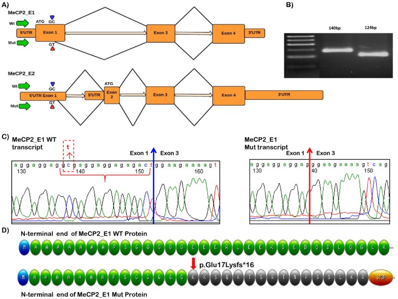 splice mdn
