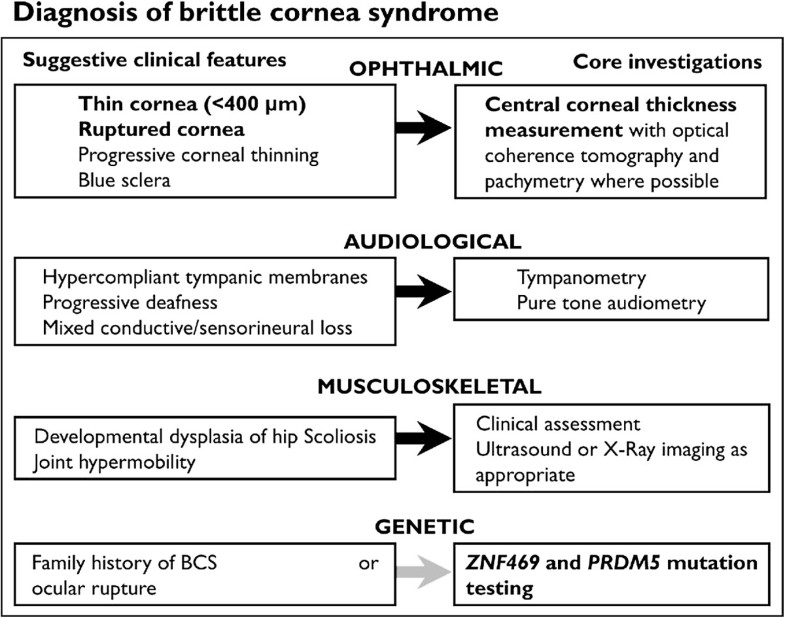 Brittle cornea syndrome recognition, molecular diagnosis and
