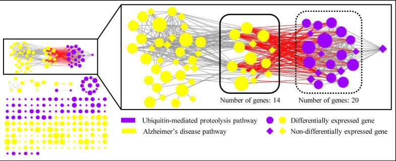 PathNet: a tool for pathway analysis using topological information