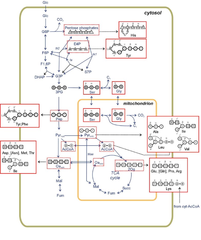 universal database metabolic reactions universal database metabolic reactions