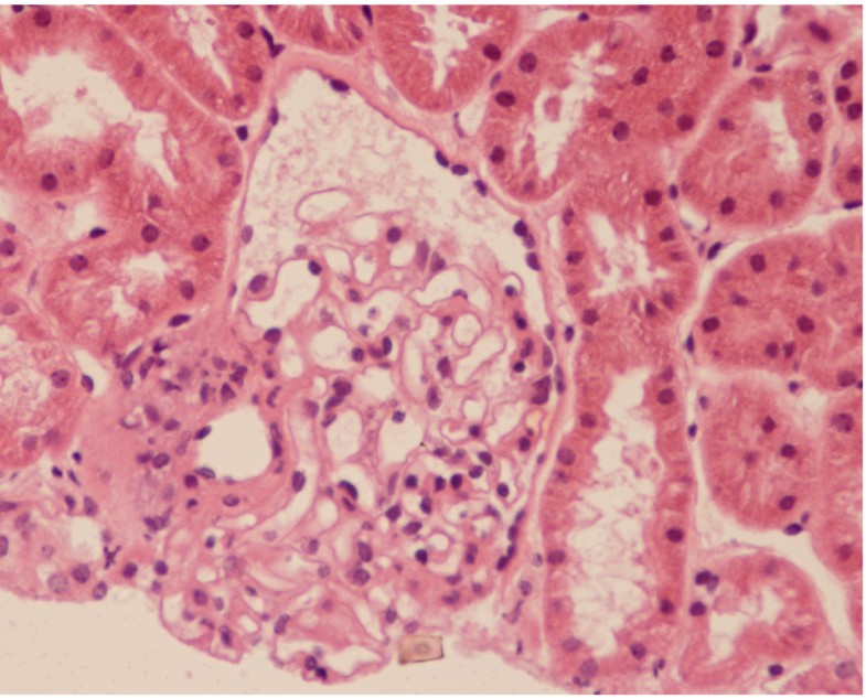 13256_2007_Article_410_Fig2_HTML