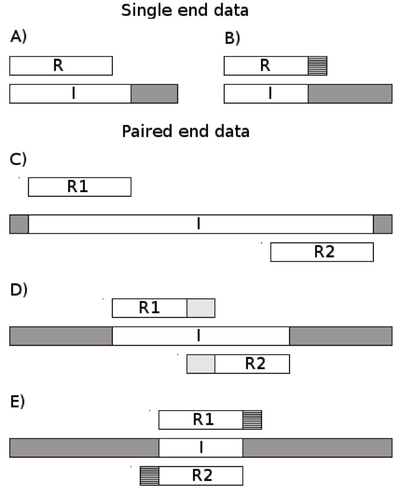 AdapterRemoval easy cleaning of nextgeneration sequencing reads BMC Research Notes Full Text