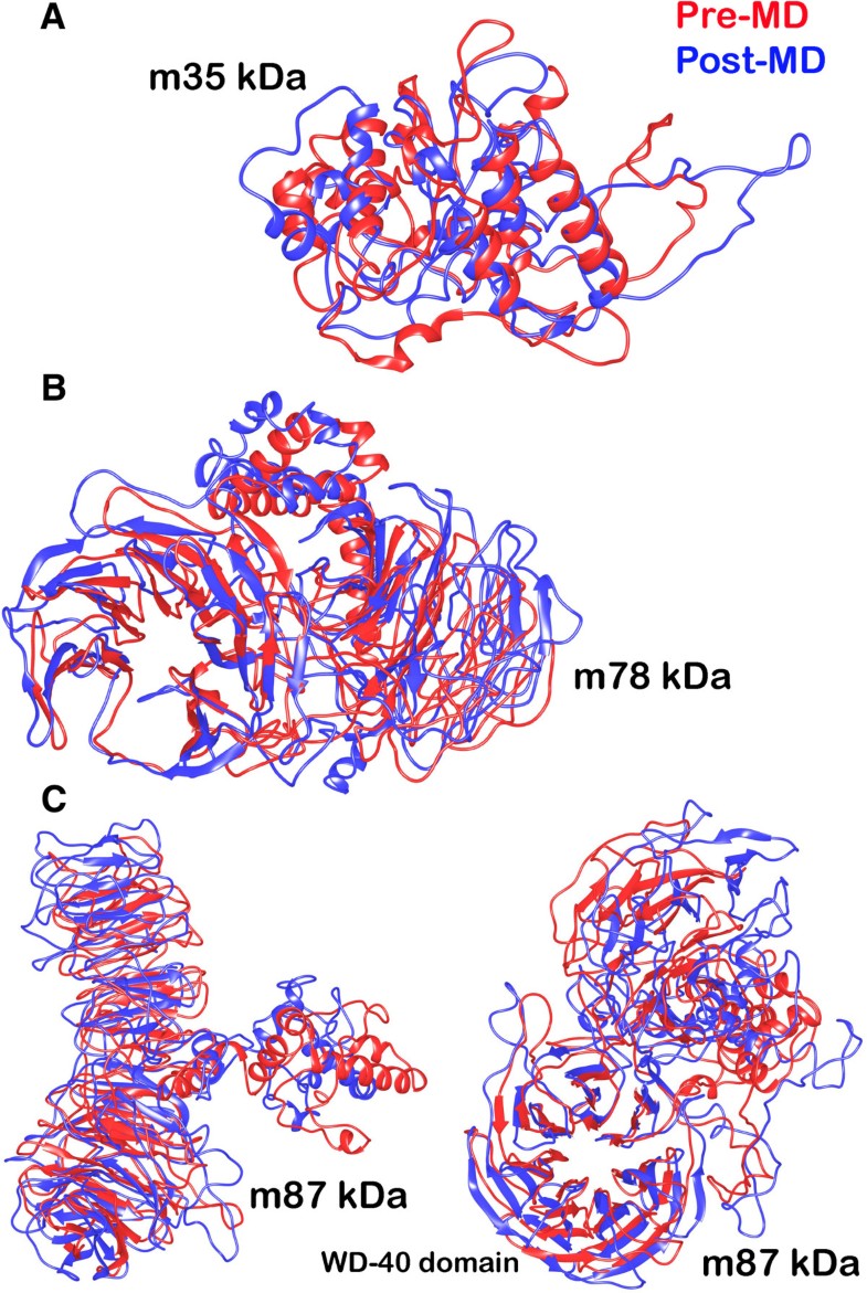 Molecular dynamics simulations phd thesis