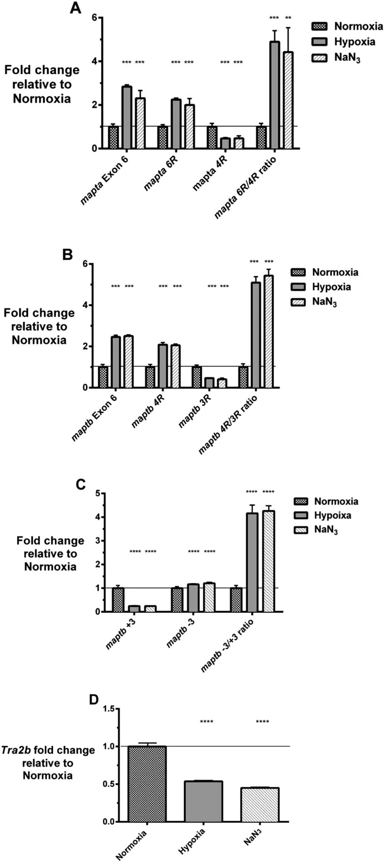 analysis of co producing riboflavin in abe A dynamic metabolic flux analysis of abe (acetone-butanol-ethanol) fermentation by clostridium developed to simulate abe biosystem, with riboflavin production. analysis of co producing riboflavin in abe A dynamic metabolic flux analysis of abe (acetone-butanol-ethanol) fermentation by clostridium developed to simulate abe biosystem, with riboflavin production.