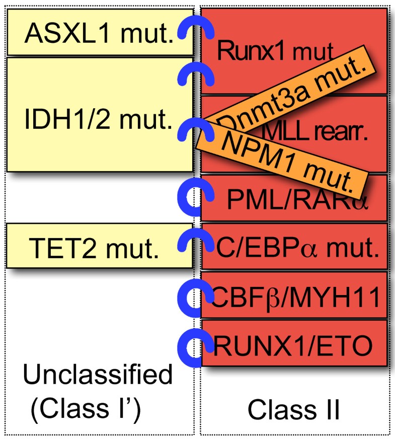 coda2 encoding type coda2 encoding type