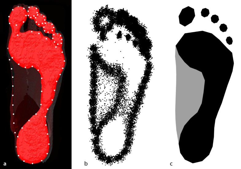 Geometric morphometric footprint analysis of young women Journal of