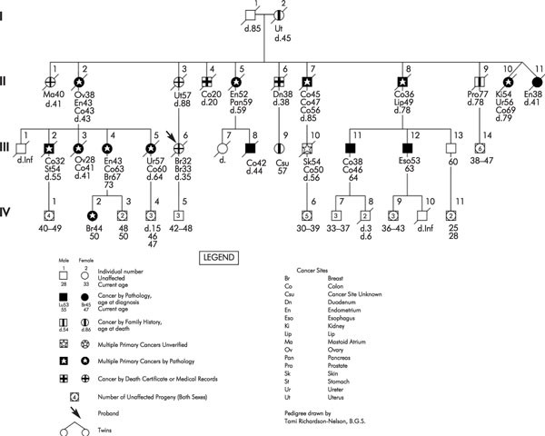 HNPCC (Lynch Syndrome): Differential Diagnosis, Molecular Genetics and ...