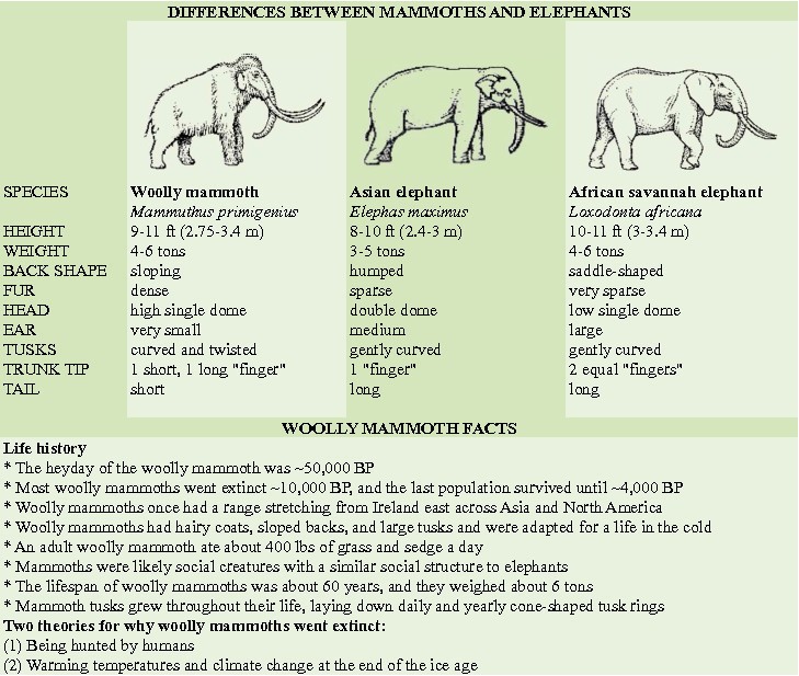 Human Cloning As Means Of Maximizing >> Resuscitation And Resurrection The Ethics Of Cloning Cheetahs Human Cloning As Means Of Maximizing >> Resuscitation And Resurrection The Ethics Of Cloning Cheetahs