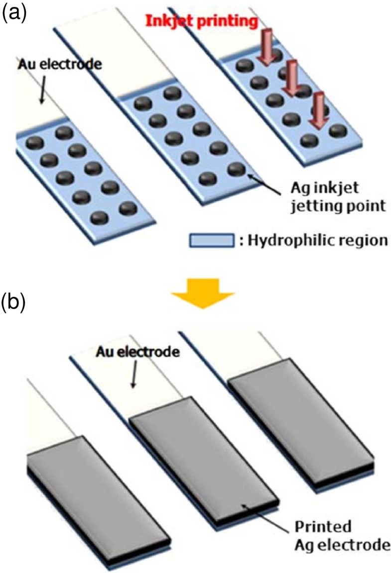 Fabrication of a 3 dimensional dielectrophoresis electrode by a metal