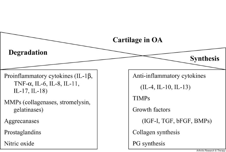 Intraarticular hyaluronan (hyaluronic acid) and hylans for the