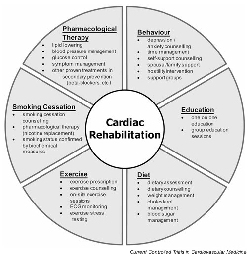 Met Level Chart Cardiac Rehab