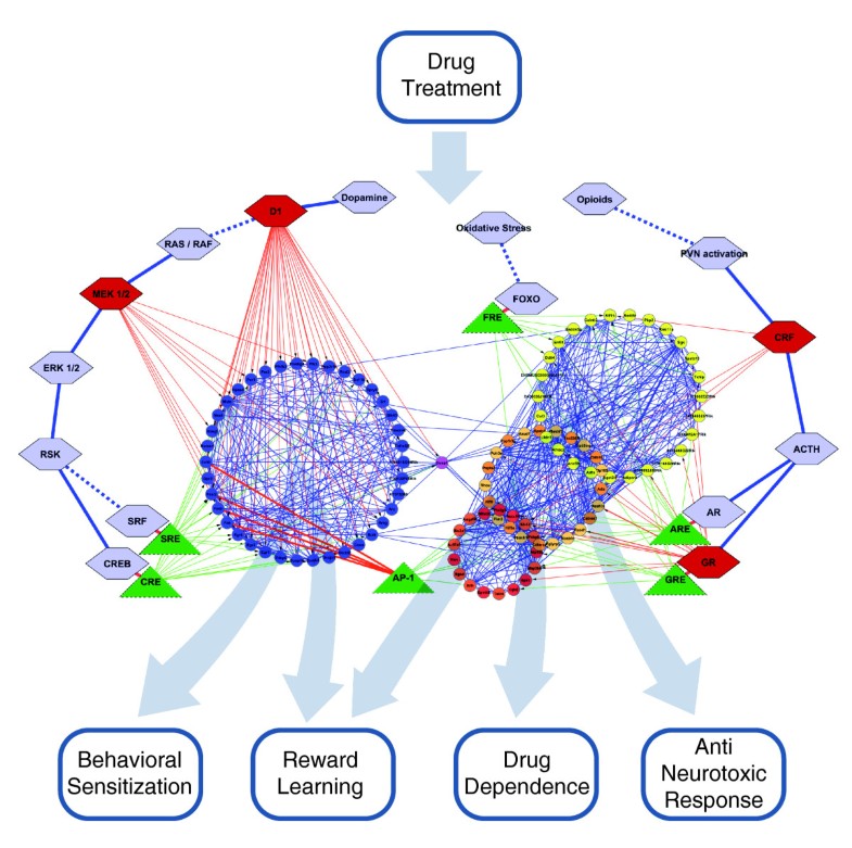 cytoscape pathway cytoscape pathway
