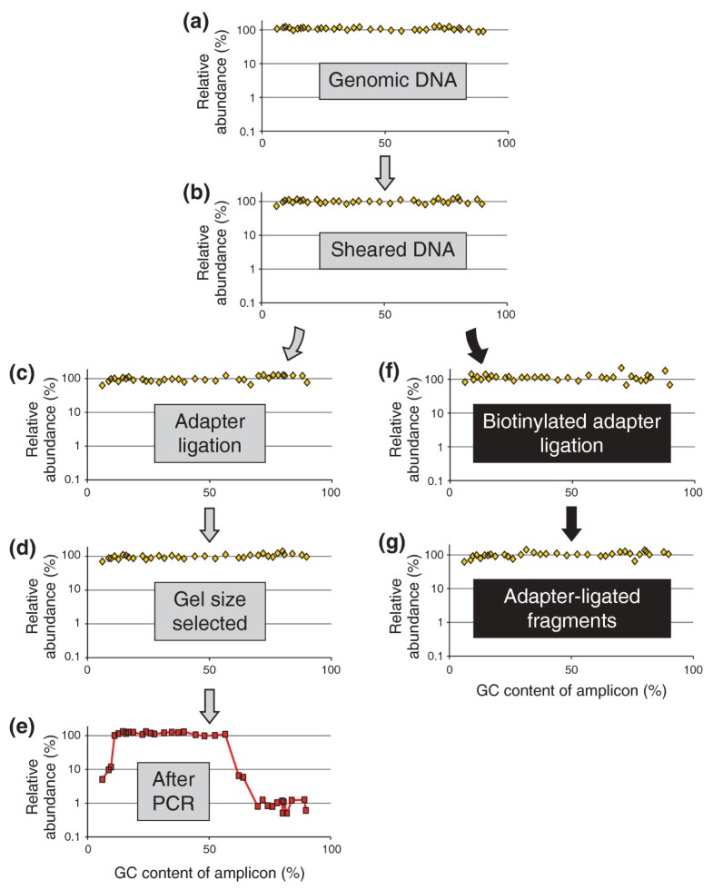 Analyzing and minimizing PCR amplification bias in Illumina sequencing libraries Genome