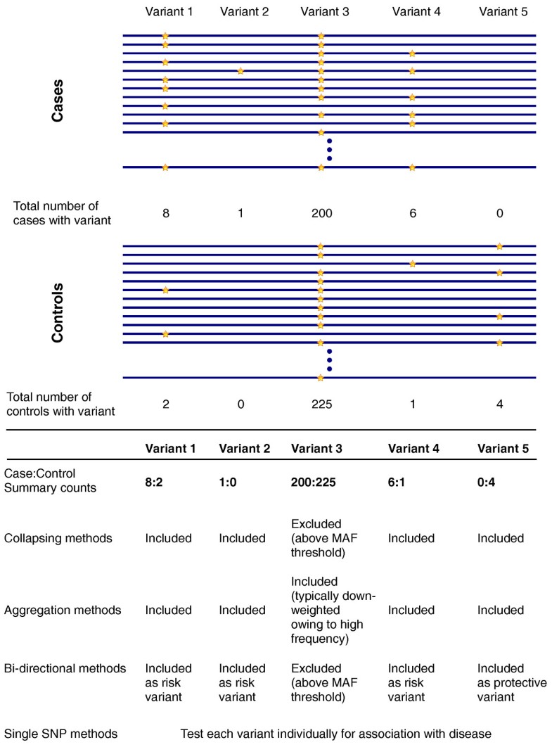Exome Sequencing Review Nature Exome Sequencing Review Nature