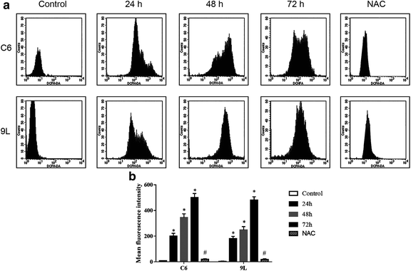 Arsenic trioxide induces apoptosis and the formation of reactive oxygen