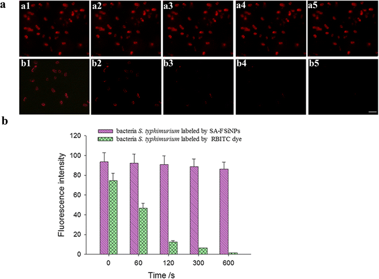 statistical test z tool Based Bioprobes Aptamer Silica Fluorescent and on