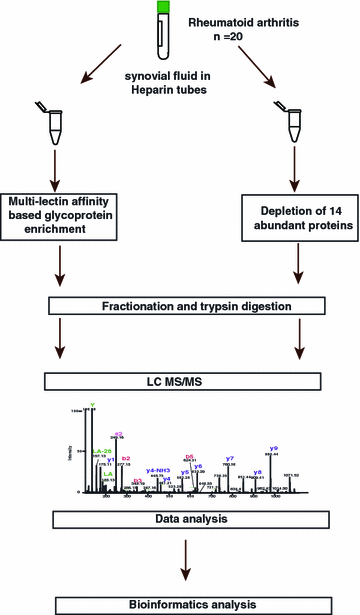 Synovial Fluid Analysis Chart