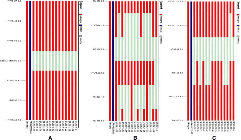 Phenotypic Selections In Nature Phenotypic Selections In Nature
