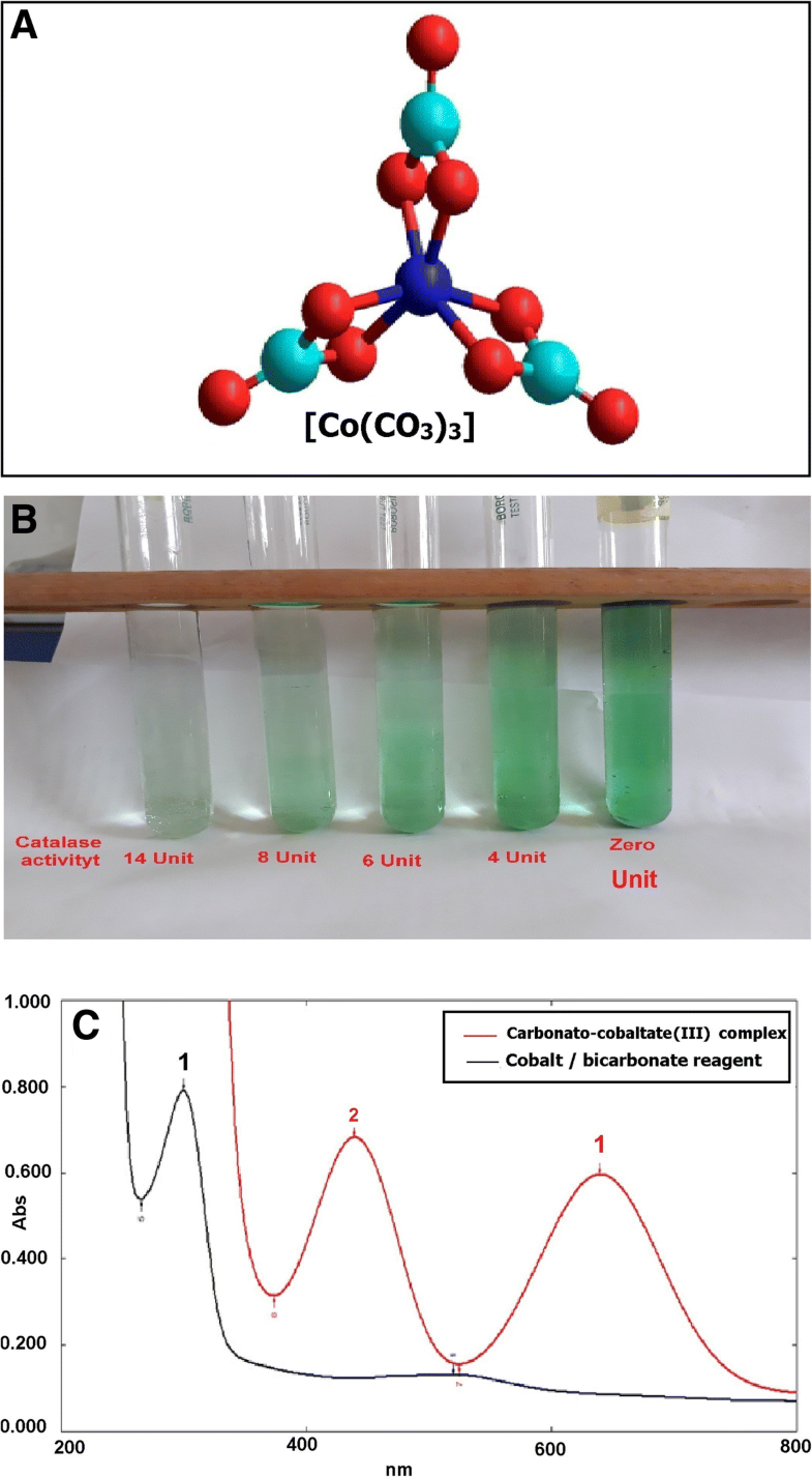 Simple spectrophotometric assay for measuring catalase activity in