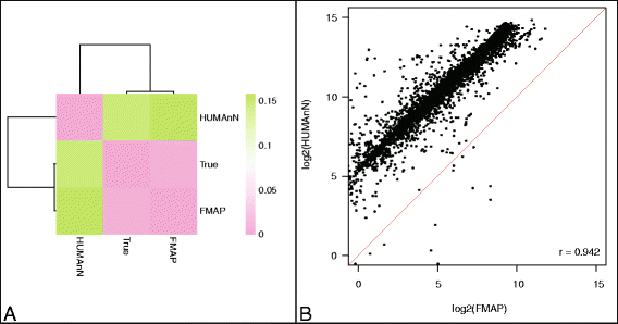 FMAP: Functional Mapping and Analysis Pipeline for metagenomics and metatranscriptomics studies 