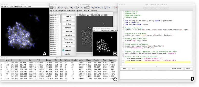 Imagej2 Imagej For The Next Generation Of Scientific Image