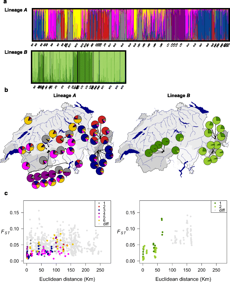 Distribution and population genetic variation of cryptic species of the Alpine mayfly Baetis ...