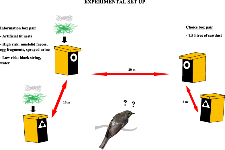 Interspecific Nest Defense