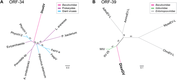 a betabaculovirus encoding a gp64 homolog springerlink da form 2408 9